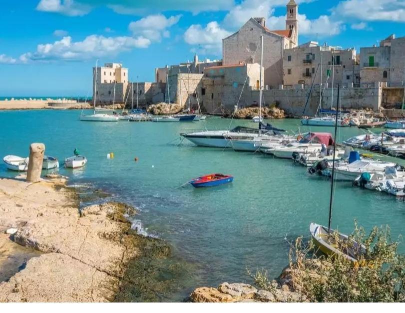 Piazza Duomo - Medieval Puglia'S House Giovinazzo Buitenkant foto